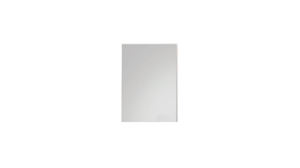 SPECCHIERA CAMERE / INGRESSI L. 50CM H. 80CM P. 2CM